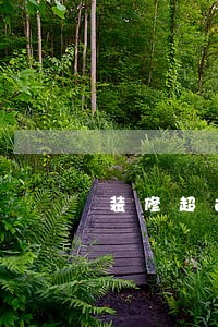 装修超过装修逾期时间 装修超过装修逾期时间