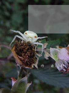装修逾期三个月怎么处理 装修逾期三个月怎么处理