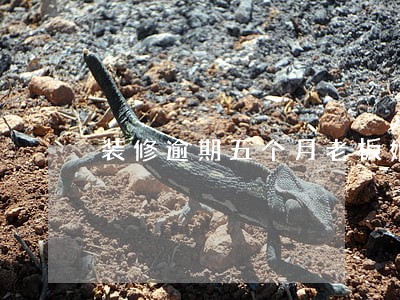 装修逾期五个月老板娘找不到儿子 装修逾期五个月老板娘找不到儿子