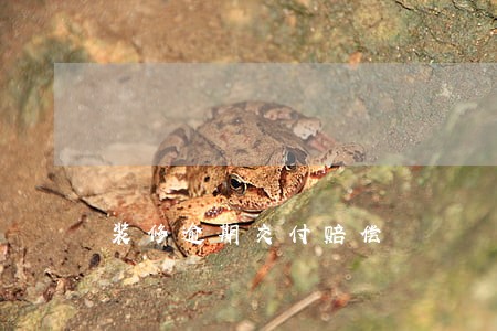 装修逾期交付赔偿 装修逾期交付赔偿