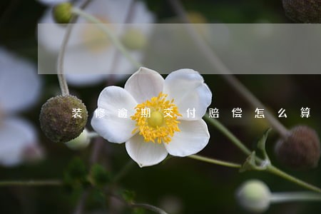 装修逾期交付赔偿怎么算 装修逾期交付赔偿怎么算