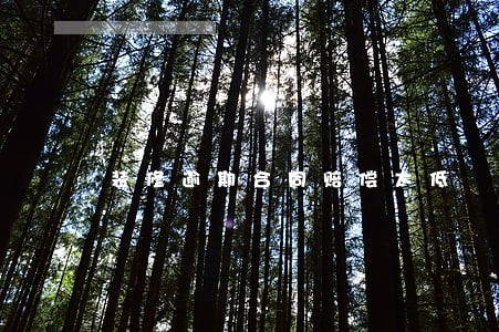 装修逾期合同赔偿太低