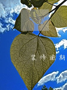 装修逾期后果通知 装修逾期后果通知
