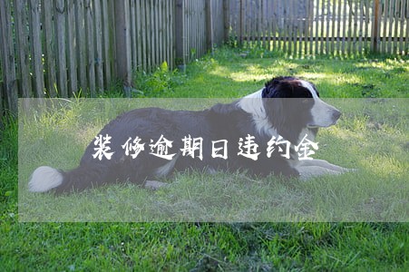 装修逾期日违约金 装修逾期日违约金