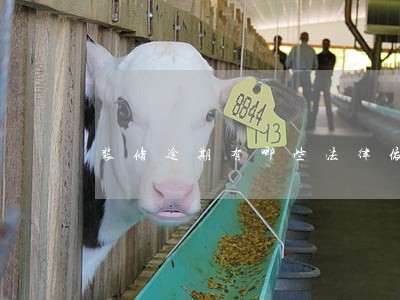 装修逾期有哪些法律依据 装修逾期有哪些法律依据