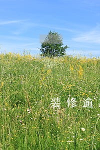 装修逾期未完工怎么投诉 装修逾期未完工怎么投诉