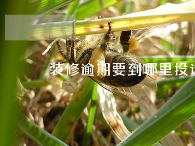 装修逾期要到哪里投诉 装修逾期要到哪里投诉