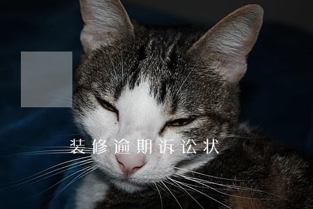 装修逾期诉讼状 装修逾期诉讼状