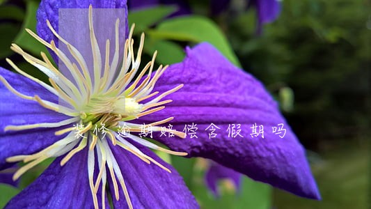 装修逾期赔偿含假期吗 装修逾期赔偿含假期吗