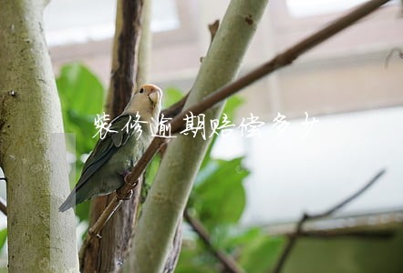 装修逾期赔偿多少 装修逾期赔偿多少