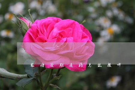 装修逾期违约怎么投诉 装修逾期违约怎么投诉