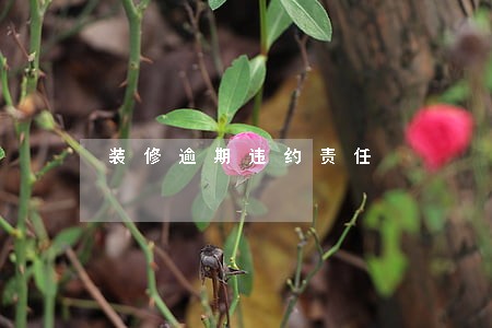 装修逾期违约责任 装修逾期违约责任
