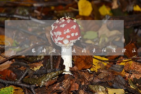 装修逾期违约责任没标注 装修逾期违约责任没标注