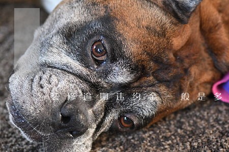 装修逾期违约金一般是多少 装修逾期违约金一般是多少