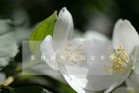 装修逾期违约金多少一天 装修逾期违约金多少一天
