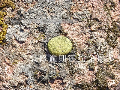 装修逾期违约金是多少 装修逾期违约金是多少