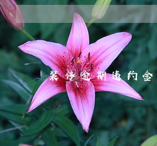 装修逾期违约金最低标准 装修逾期违约金最低标准