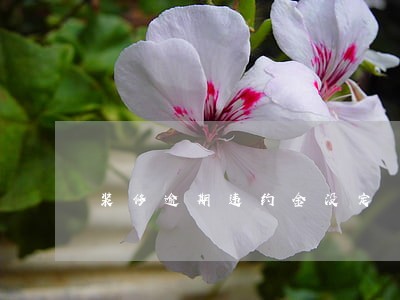 装修逾期违约金没定 装修逾期违约金没定