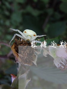 装修逾期违约金超出装修款 装修逾期违约金超出装修款
