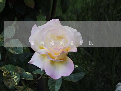 装修逾期退全款 装修逾期退全款