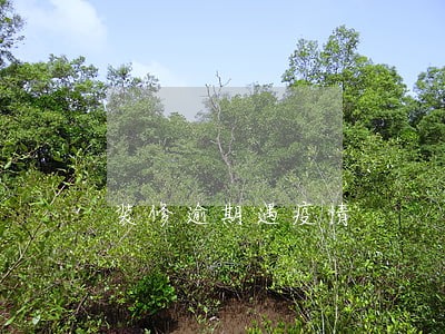装修逾期遇疫情 装修逾期遇疫情