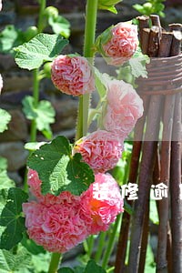 装修逾期问题及解决方案 装修逾期问题及解决方案