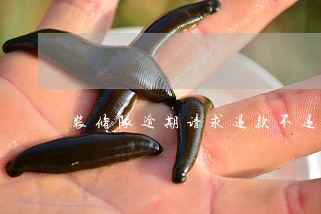 装修队逾期请求退款不退 装修队逾期请求退款不退