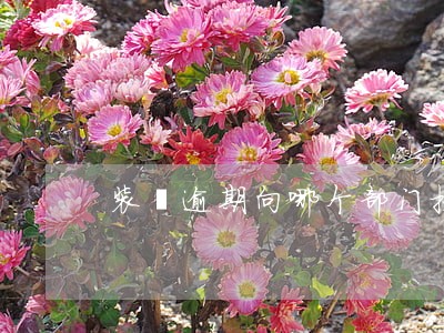 装潢逾期向哪个部门投诉 装潢逾期向哪个部门投诉