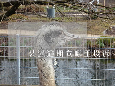 装潢逾期向哪里投诉 装潢逾期向哪里投诉
