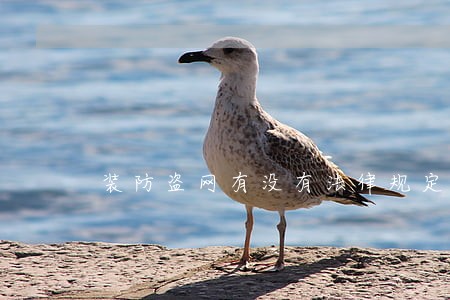 装防盗网有没有法律规定 装防盗网有没有法律规定