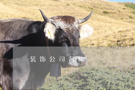 装饰公司名称 装饰公司名称