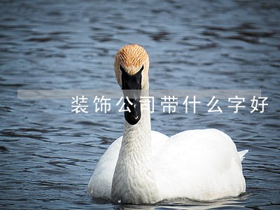 装饰公司带什么字好 装饰公司带什么字好