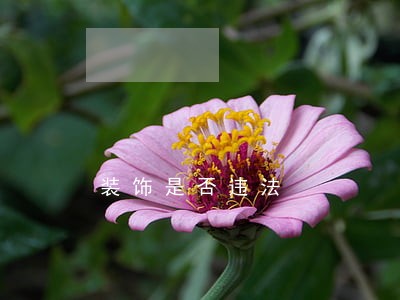 装饰是否违法 装饰是否违法