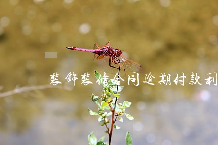 装饰装修合同逾期付款利息 装饰装修合同逾期付款利息