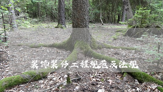 装饰装修工程规范及法规
