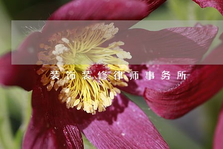 装饰装修律师事务所 装饰装修律师事务所