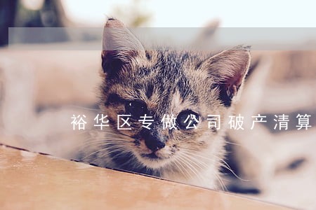 裕华区专做公司破产清算律师 裕华区专做公司破产清算律师