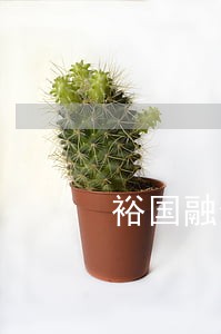 裕国融资车贷逾期半年了 裕国融资车贷逾期半年了