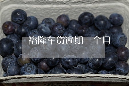 裕隆车贷逾期一个月 裕隆车贷逾期一个月