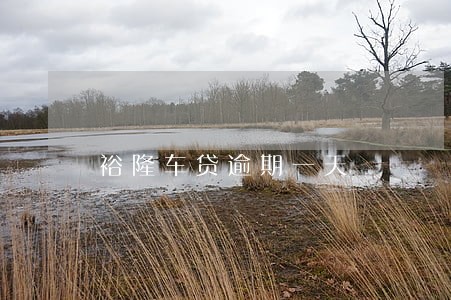 裕隆车贷逾期一天 裕隆车贷逾期一天