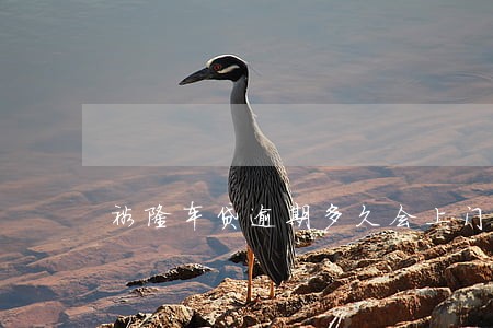 裕隆车贷逾期多久会上门 裕隆车贷逾期多久会上门