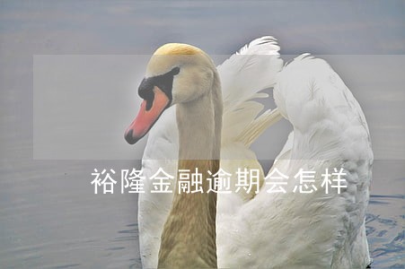 裕隆金融逾期会怎样 裕隆金融逾期会怎样