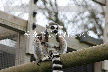 裸条贷款逾期欠款图片 裸条贷款逾期欠款图片