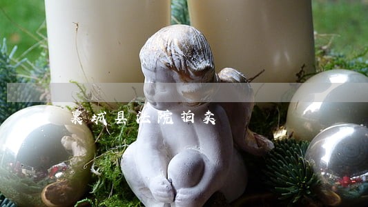 襄城县法院拍卖 襄城县法院拍卖