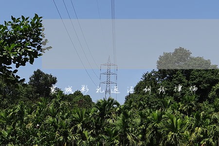 襄城彩礼返还纠纷律师 襄城彩礼返还纠纷律师