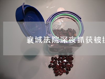 襄城法院深夜抓获被执行人 襄城法院深夜抓获被执行人