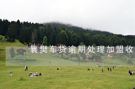 襄樊车贷逾期处理加盟收费 襄樊车贷逾期处理加盟收费