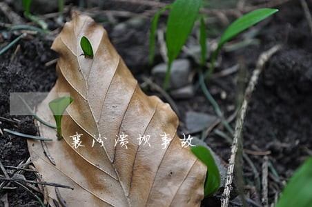 襄汾溃坝事故 襄汾溃坝事故