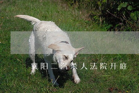 襄阳二汽杀人法院开庭