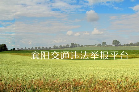 襄阳交通违法举报平台